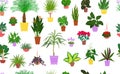 Seamless pattern from different house plants in colorful flower pots. Vector.
