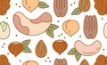 Seamless pattern with different nuts. Vector illustration on white background. Brazil nuts, cashews, peanuts, walnuts, pecans,