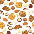 Seamless pattern with different nuts on a white background. Vector illustration of organic healthy food in cartoon flat style.