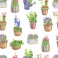 Seamless pattern of different perennial flowers in the pots and wicker baskets. Made in the technique of colored pencils. Hand Royalty Free Stock Photo