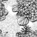 Seamless pattern with different plants drawn by hand with black Royalty Free Stock Photo