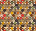 Seamless pattern with different spices isolated on white background.