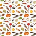 Seamless pattern with different spices