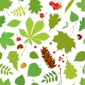Seamless pattern of different tree leaves.
