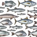 Seamless pattern different types fish. Vintage engraving