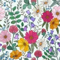 Seamless pattern of different wild herbs and flower