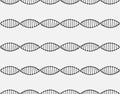 Seamless pattern of a DNA molecule are arranged horizontally. Black lines on white background