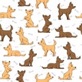 Seamless pattern and dog bones on white background Royalty Free Stock Photo