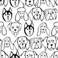 Seamless pattern with Dog breeds. Bulldog, Husky, Alaskan Malamute, Retriever, Doberman, Poodle, Pug, Shar Pei