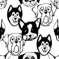 Seamless pattern with Dog breeds. Bulldog, Husky, Alaskan Malamute, Retriever, Doberman, Poodle, Pug, Shar Pei