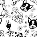 Seamless pattern with Dog breeds. Bulldog, Husky, Alaskan Malamute, Retriever, Doberman, Poodle, Pug, Shar Pei