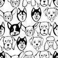 Seamless pattern with Dog breeds. Bulldog, Husky, Alaskan Malamute, Retriever, Doberman, Poodle, Pug, Shar Pei