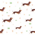 Seamless pattern with dog and graass. Royalty Free Stock Photo