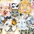 Seamless pattern of dog, guinea pig, cat, mini pig, rabbit and rat. Watercolor hand drawn illustration Royalty Free Stock Photo