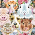 Seamless pattern of dog, guinea pig, cat, mini pig, rabbit and rat. Watercolor hand drawn illustration Royalty Free Stock Photo