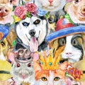 Seamless pattern of of dog, guinea pig, cat, mini pig and rat. Watercolor pets illustration. Watercolor hand drawn