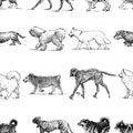 Seamless pattern of the dogs of different breeds