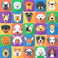 Seamless pattern with dogs flat design Royalty Free Stock Photo