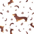 Seamless pattern with dogs and sausage Royalty Free Stock Photo