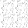 Seamless pattern with dogs. Shepherd. Sketch drawing. Black contour on a white background. Royalty Free Stock Photo