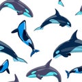 2540 sea, seamless pattern with dolphins, vector illustration, background for design Royalty Free Stock Photo