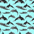 2541 sea, seamless pattern with dolphins, vector illustration, background for design Royalty Free Stock Photo