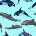 2542 sea, seamless pattern with dolphins, vector illustration, background for design Royalty Free Stock Photo