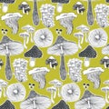 Seamless pattern with doodle mushrooms. Repeated texture with natural elements for fall season. Hand drawn print for