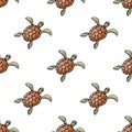 Seamless pattern with sea turtle in doodle style Royalty Free Stock Photo