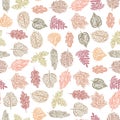 Seamless pattern of doodles colorful leaves of various deciduous trees