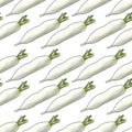 seamless pattern with daikon at white background