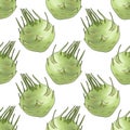 seamless pattern with drawing kohlrabi at white background