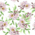 Seamless pattern drawn cherry blossom, apple tree. Drawing of a branch with pink flowers. Royalty Free Stock Photo