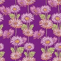 Seamless pattern of drawn garden gerberas