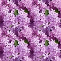 Seamless pattern with drawn lilac branches. Beautiful purple flowers