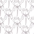 Seamless pattern drawn outline iris flower isolated on a white background.