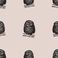 Seamless pattern of drawn owlets sitting on tree branches Royalty Free Stock Photo
