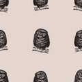 Seamless pattern of drawn owlets sitting on tree branches