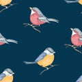 Seamless pattern of drawn titmouses and bullfinches