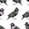 Seamless pattern with dressed up starling