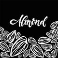 Sketch almonds pattern on black background