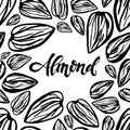 Sketch almonds pattern on white background Royalty Free Stock Photo