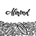 Sketch almonds pattern on white background