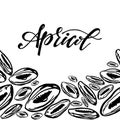 Dried apricots pattern on white background