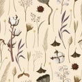 Seamless pattern with dried autmn flowers. Vector.