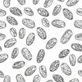 Seamless Pattern of Dried Dates Illustration Royalty Free Stock Photo