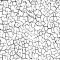 A seamless pattern of dry cracked texture of soil