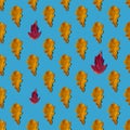 Seamless pattern of dry yellow and red autumn leaves on a blue background. Texture pattern for design Royalty Free Stock Photo