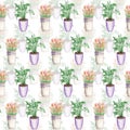 Seamless pattern of the duobly tulips in a bucket and spathiphyllum