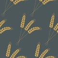 Seamless pattern, ear of wheat rye, rural harvest background, illustration for textile